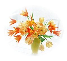 �����E�ٌ�m �@�����k